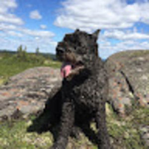 Meet your Posher, Melanie